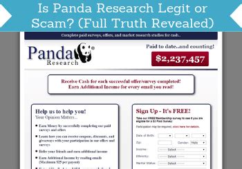 Panda Treasure Review: Legit or Scam .